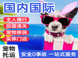 张孝空运国际宠物托运 【国